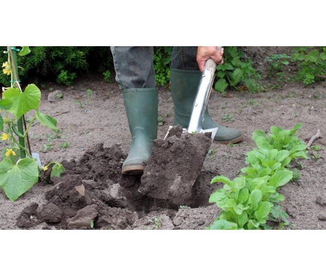 Contenido e-learning UF0001 El Suelo de Cultivo y las Condiciones Climáticas 